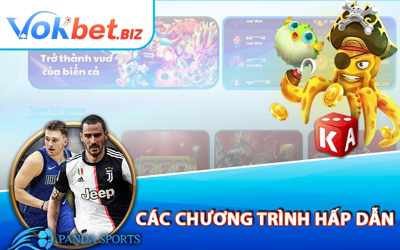 Các Chương Trình Hấp Dẫn