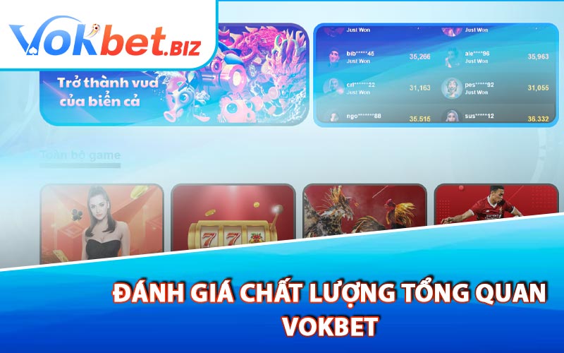 Đánh Giá Chất Lượng Tổng Quan Vokbet