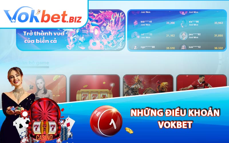 Những Điều Khoản Vokbet