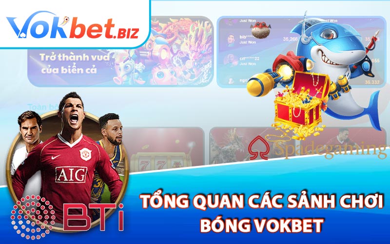 Tổng Quan Các Sảnh Chơi Bóng Vokbet