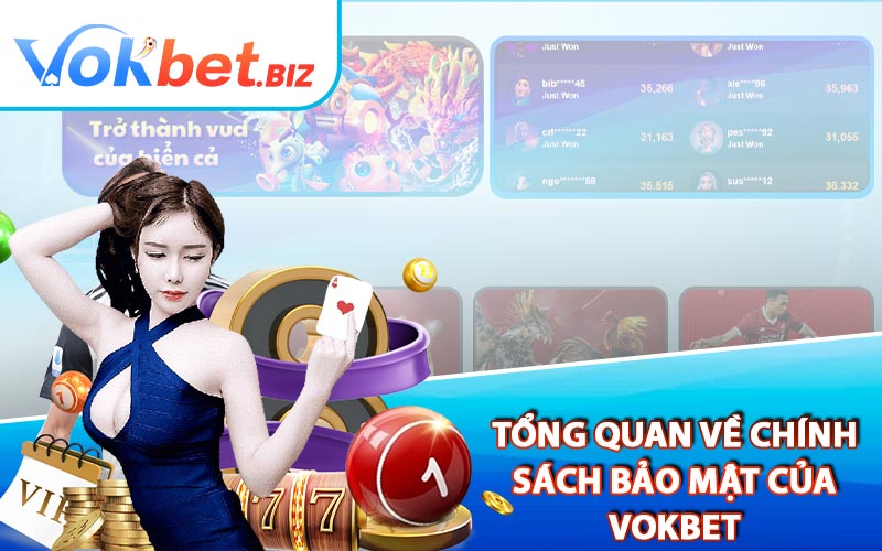 Tổng Quan Về Chính Sách Bảo Mật Của Vokbet